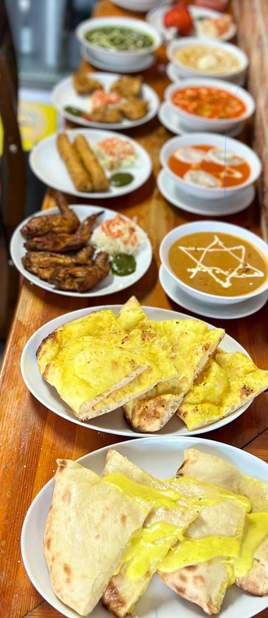 Our Delicious Indian Food